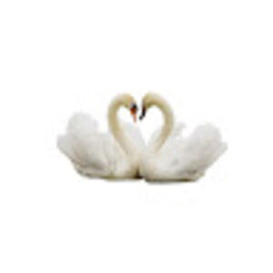 Meet your Posher, Ivan